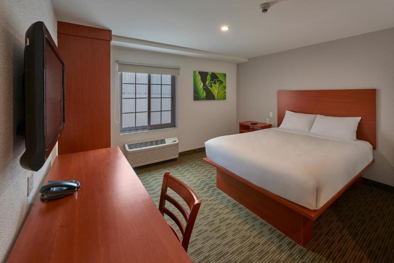 Extended Suites Monterrey Aeropuerto Apodaca Екстер'єр фото